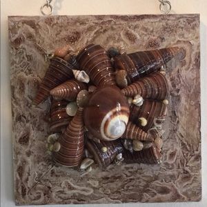 Seashells wall decor frame